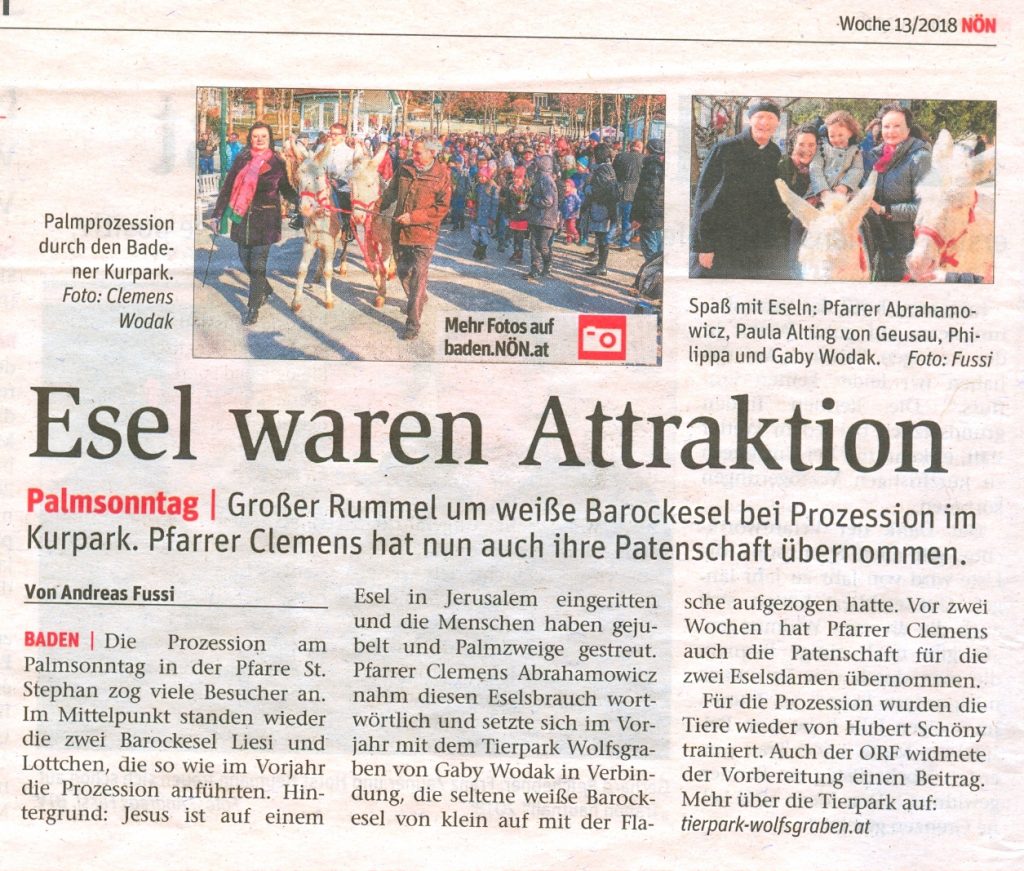 Esel waren Attraktion