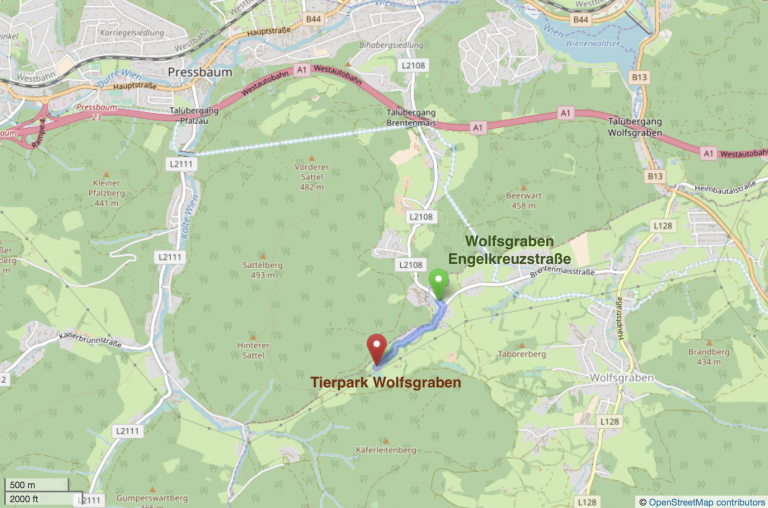 Kartenausschnitt des Wienerwalds: Von der Haltestelle Wolfsgraben Engelkreuzstraße führt der markierte Fußweg über die Brentenmaisstraße und eine Forststraße nach Südwesten zum Tierpark Wolfsgraben.