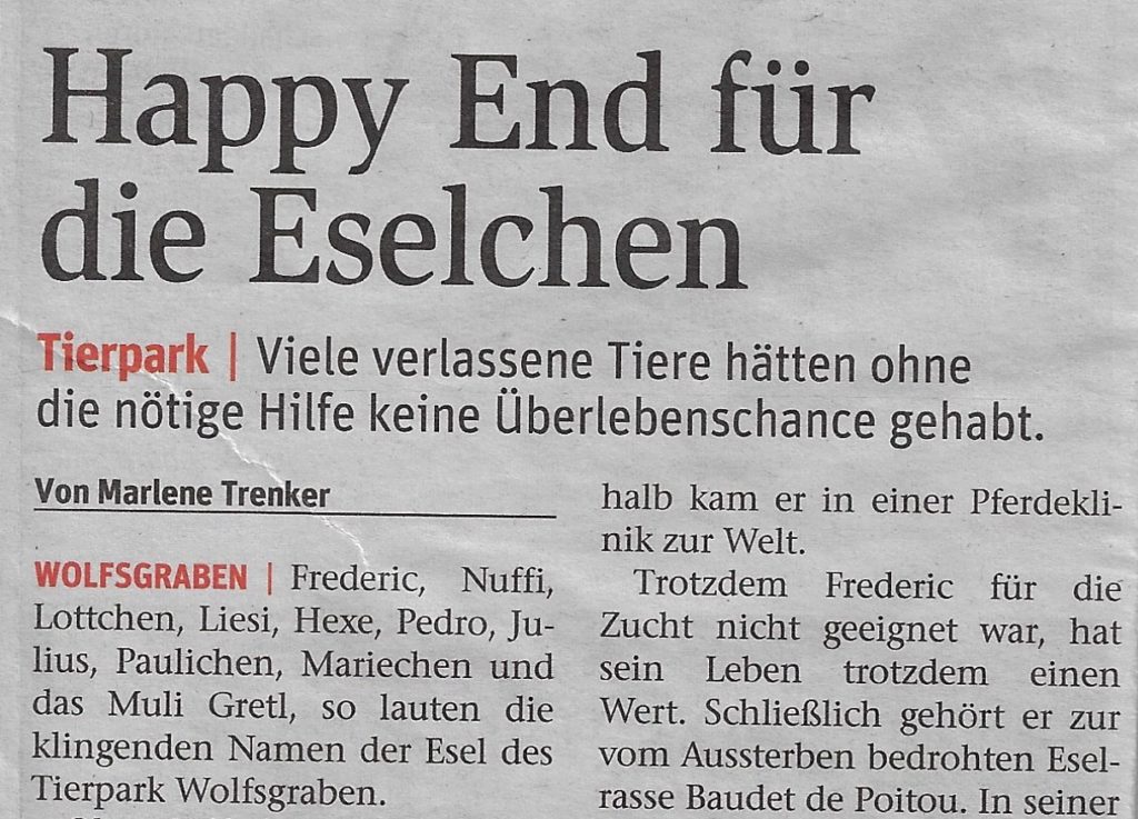 Beitragsserie: Esel