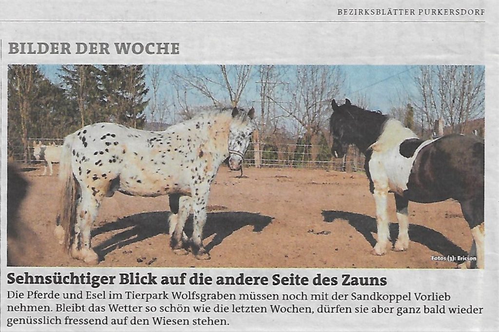 Bild der Woche