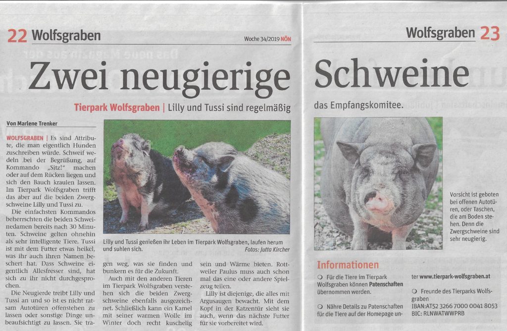 Beitragsserie: Schweine