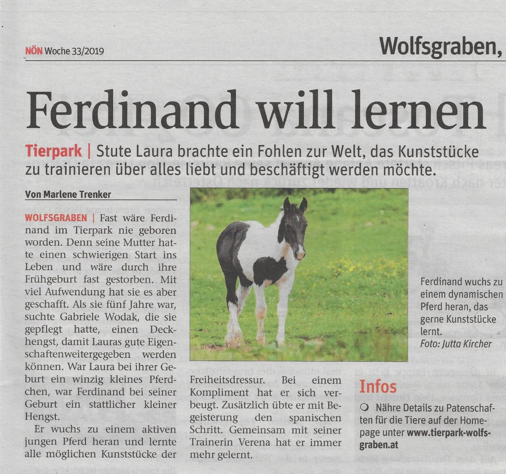 Beitragsserie: Pferd Ferdinand