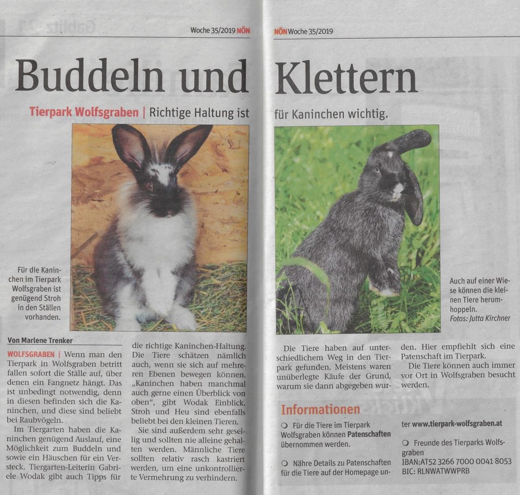 Beitragsserie: Kaninchen