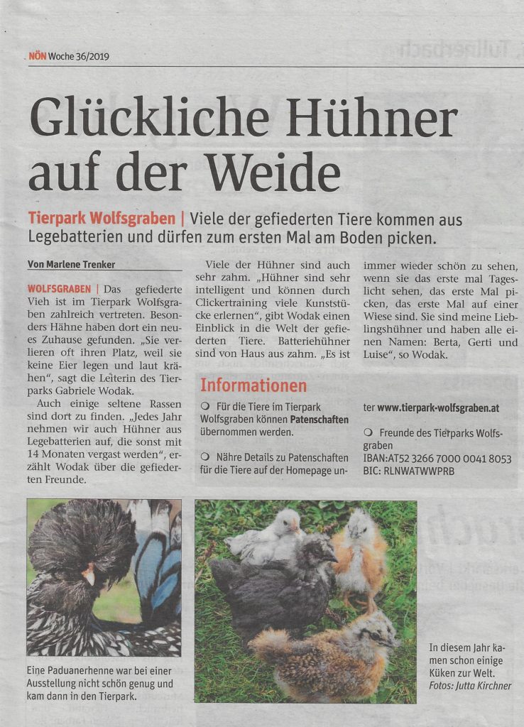 Beitragsserie: Hühner