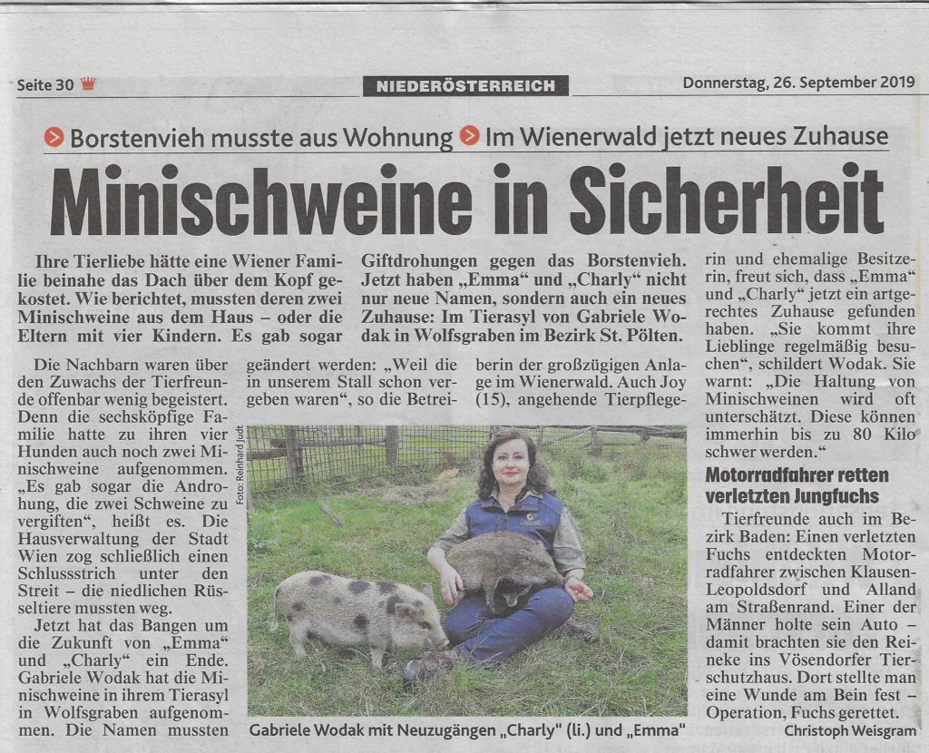 Minischweine Emma und Charlie
