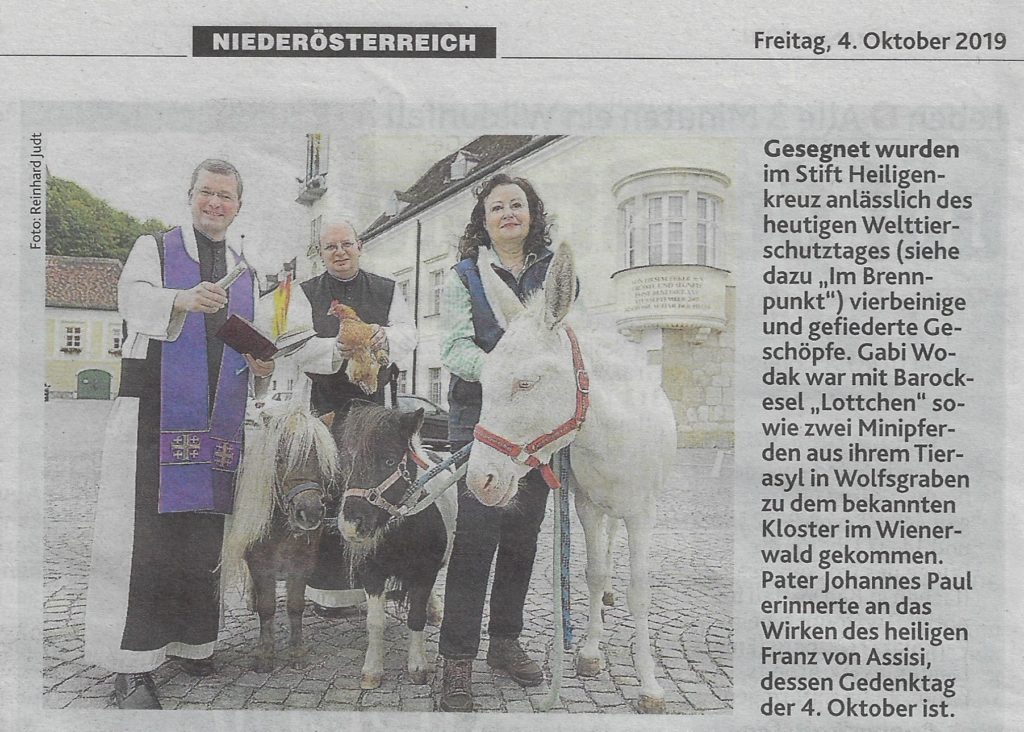 Segnung zum Welttierschutztag