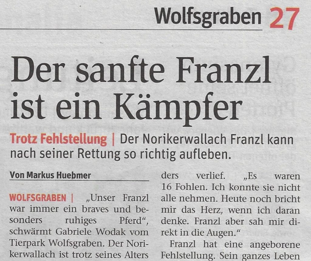 Beitragsserie: Noriker Franzl