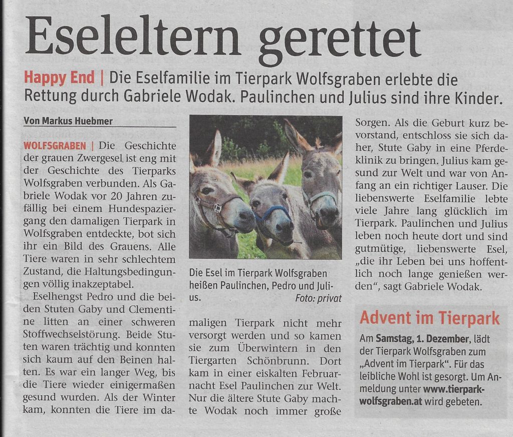 Beitragsserie: Eseleltern