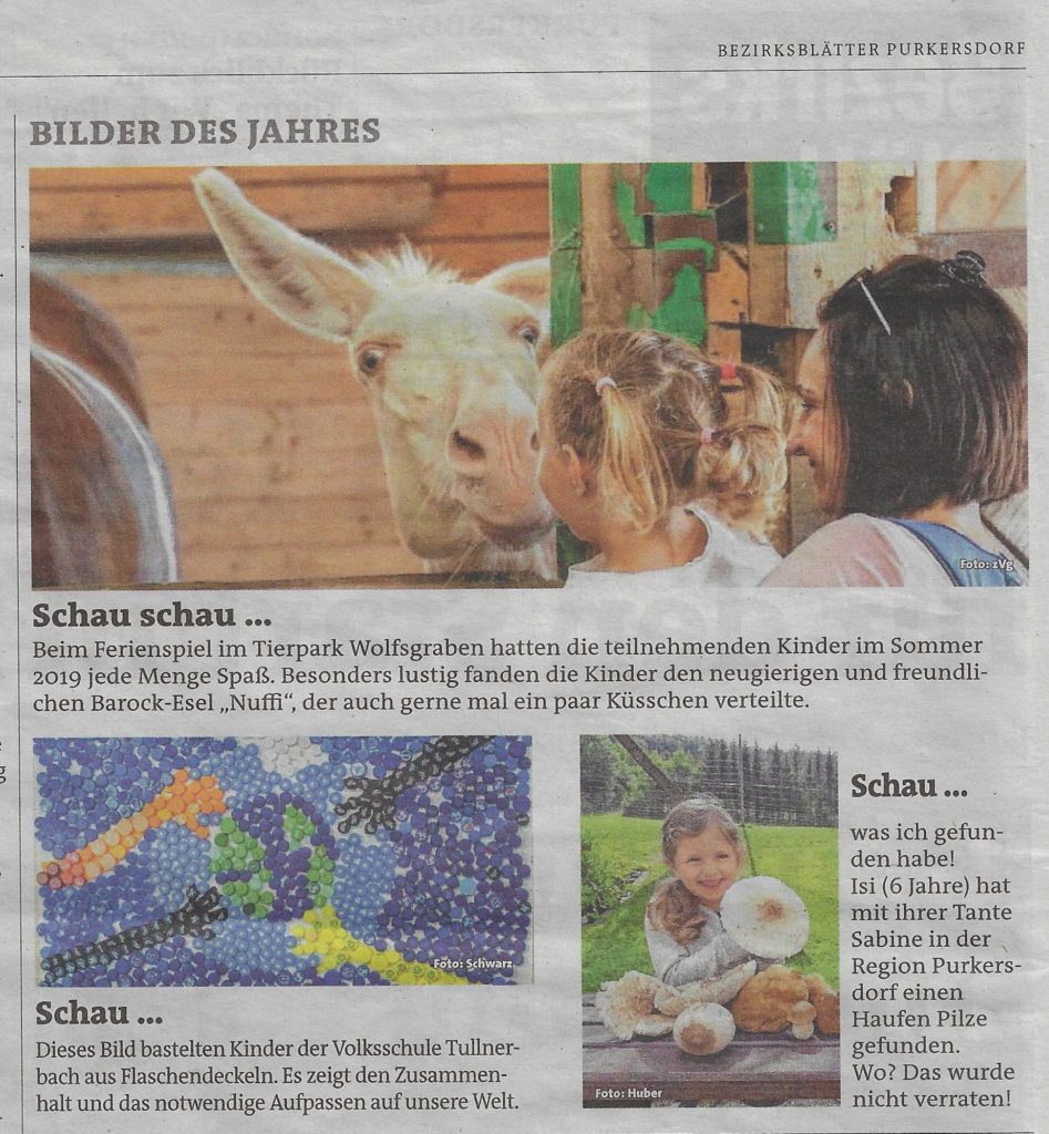 Foto des Jahres
