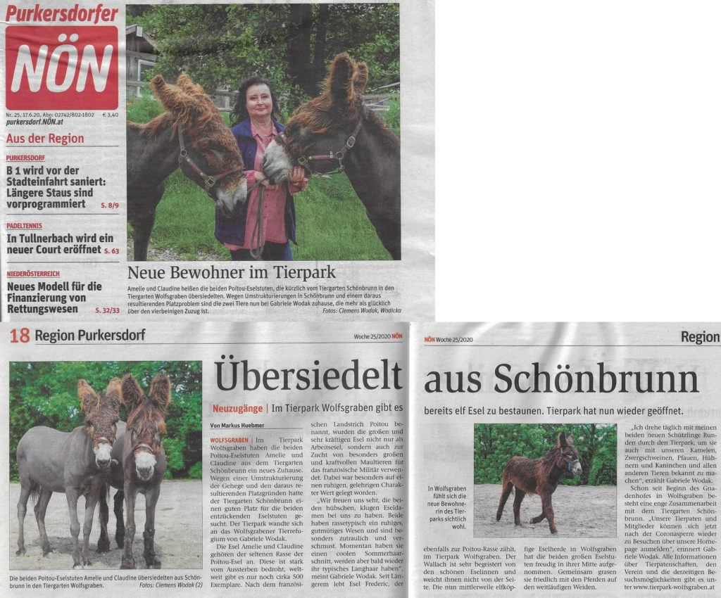 Übersiedelt aus Schönbrunn