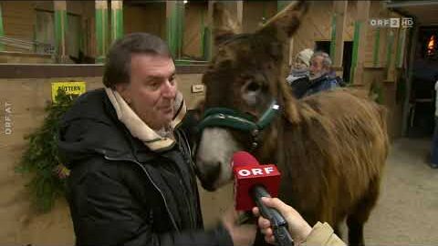 Adventfest im Tierpark