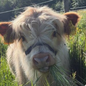 Besuch für Paten & Mitglieder
