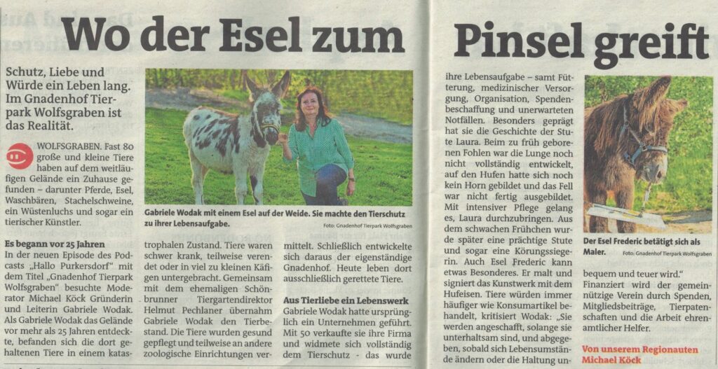 Wo der Esel zum Pinsel greift